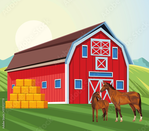 farming barn horses and bales of hay field farm