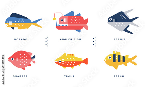 Sea and Ocean Fishes Collection, Dorado, Angler Fish, Permit, Snapper, Trout, Perch Vector Illustration