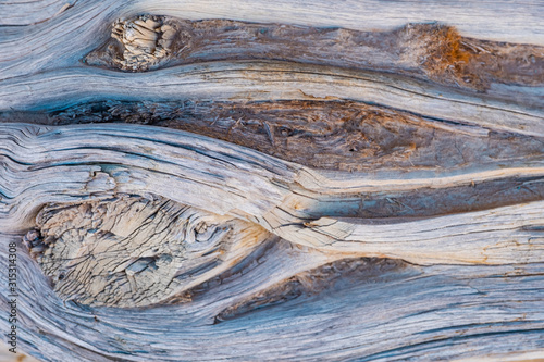 The detail texture of wooden