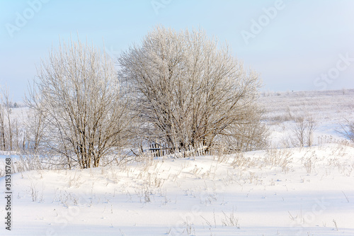 Wallpaper Mural Beauty of nature in winter Torontodigital.ca
