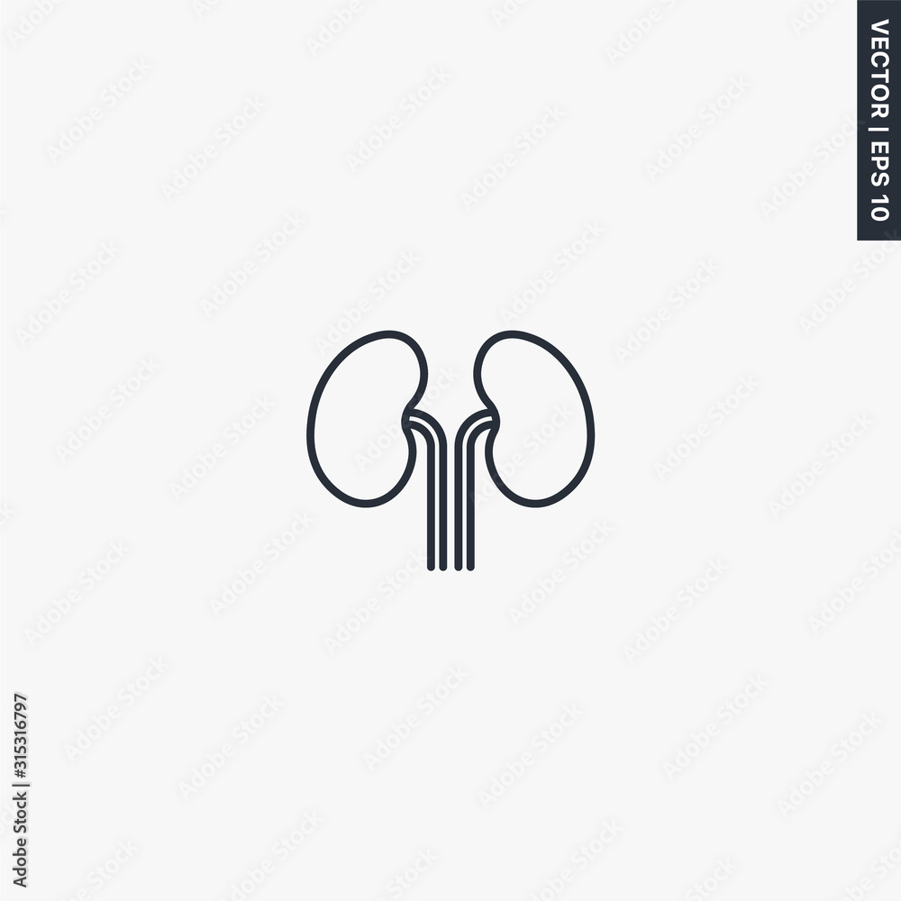 Kidney, linear style sign for mobile concept and web design Kidney, linear style sign for mobile concept and web design