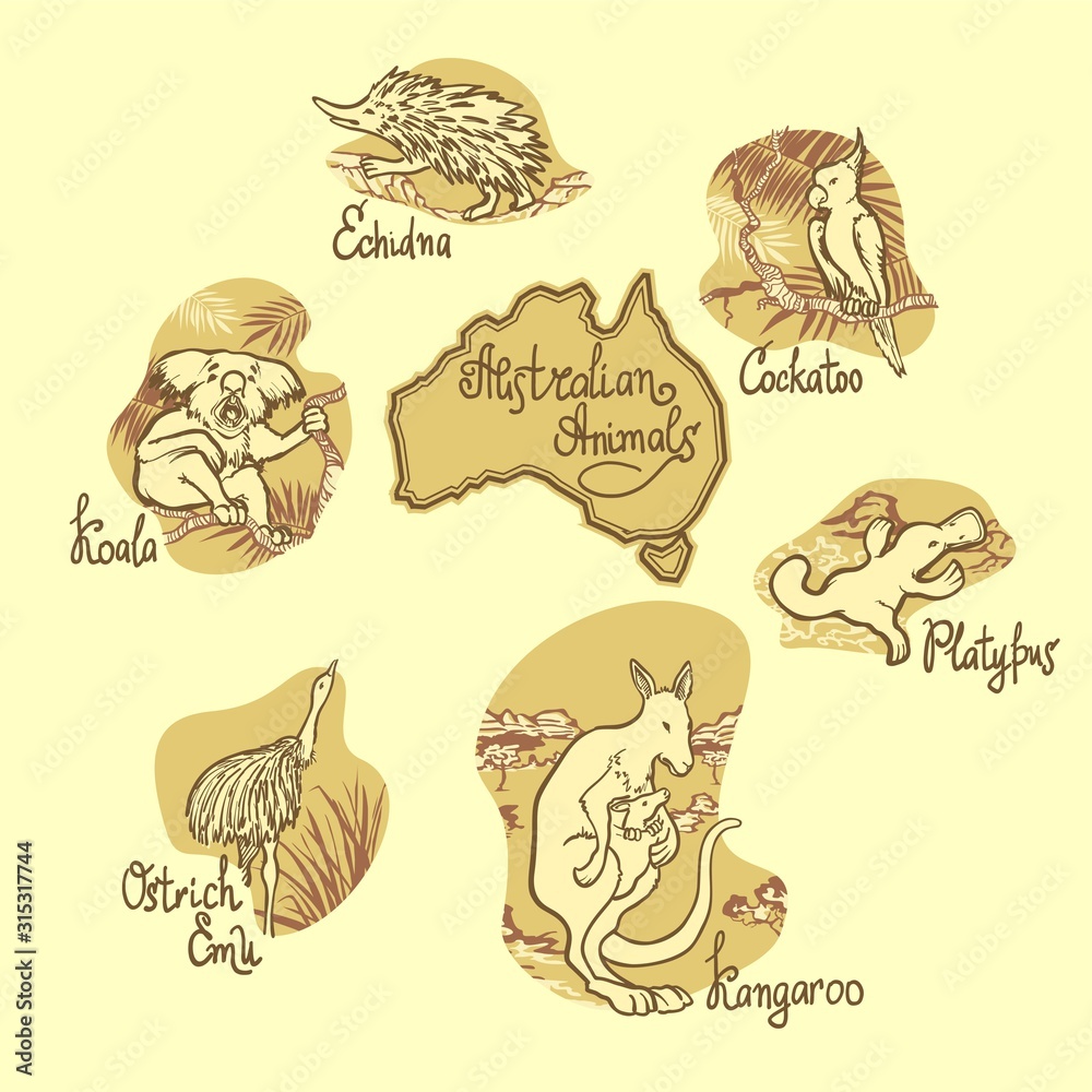 A multi-colored set of unique Australian fauna, Koala, Kangaroo, Cockatoo, Ostrich Emu, Echidna and Platypus on a white background, isolated linear graphics, for banners, cards, posters and sites.