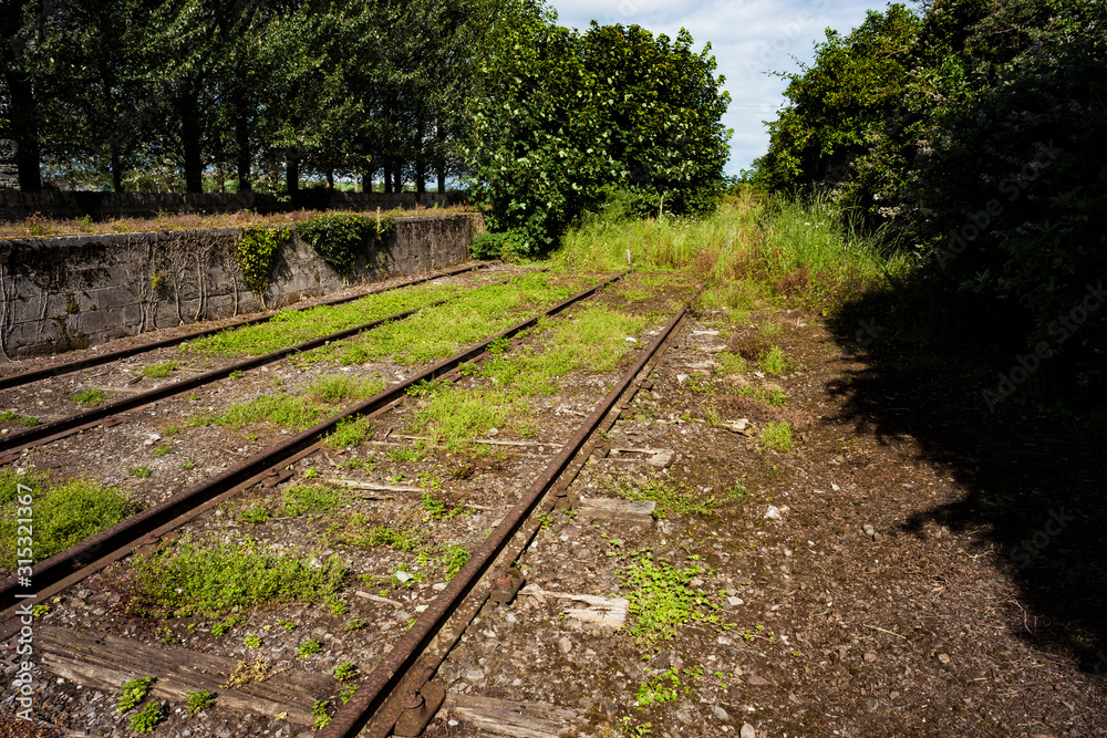 Fototapeta premium rail