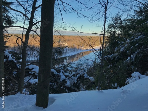 Fototapeta Naklejka Na Ścianę i Meble -  trees in winter