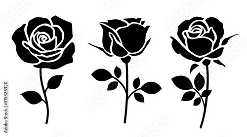 Photo Set of decorative rose with leaves