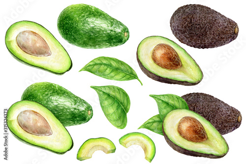 Avocado set watercolor isolated on white background