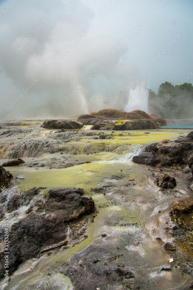 Water eruption out of a geyser in Te Puia, NZ
