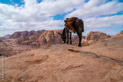 Typical Donkey Panoramic View of Petra, Unesco Archeological Site, Jordan,