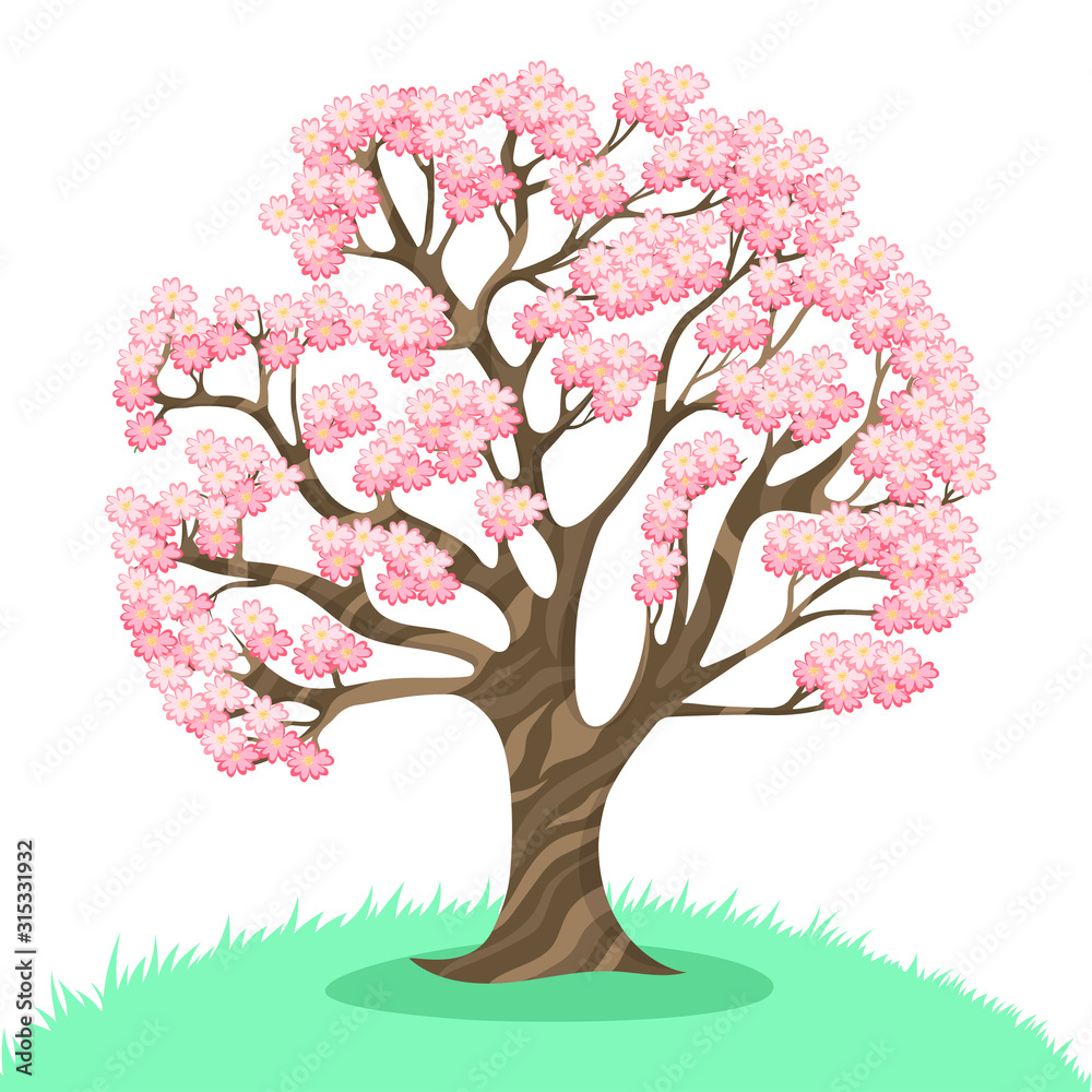 Sakura tree isolated on a white background. Vector graphics.