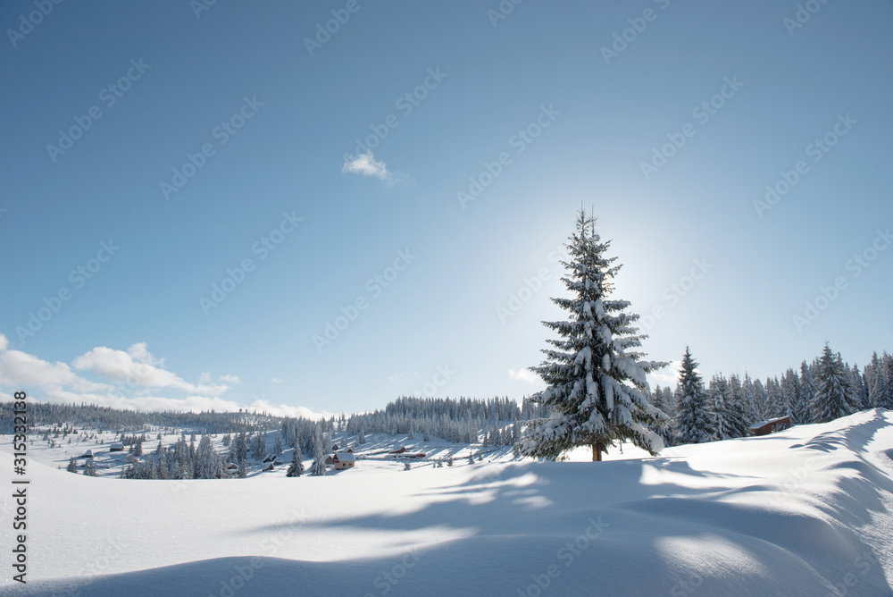 Fototapeta premium Alpine landscape with snow covered mountains and pine forest