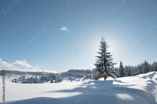 Alpine landscape with snow covered mountains and pine forest