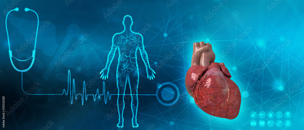 3d illustration  Anatomy of Human Heart  - obrazy, fototapety, plakaty 