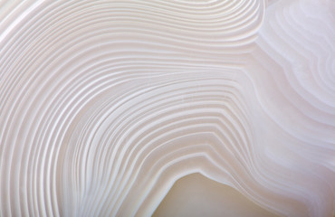 Deken met foto Cappuccinokleur Lichte agaat textuur met golvend patroon  © Alexander Potapov