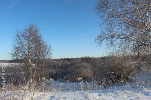 Wallpaper Mural Snowy decoration of the Ural forest Torontodigital.ca