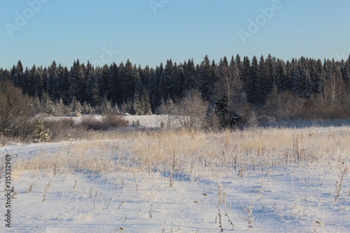 Snowy decoration of the Ural forest