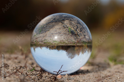 forest through a bruning glass