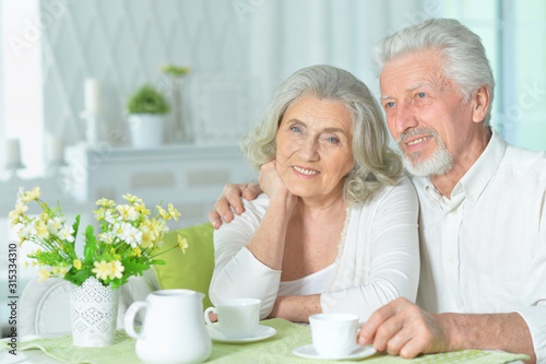 Portrait of happy senior couple drinking tea