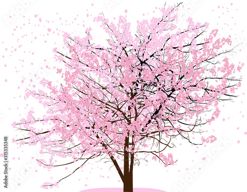 spring tree with pink blooms and flying petals on white