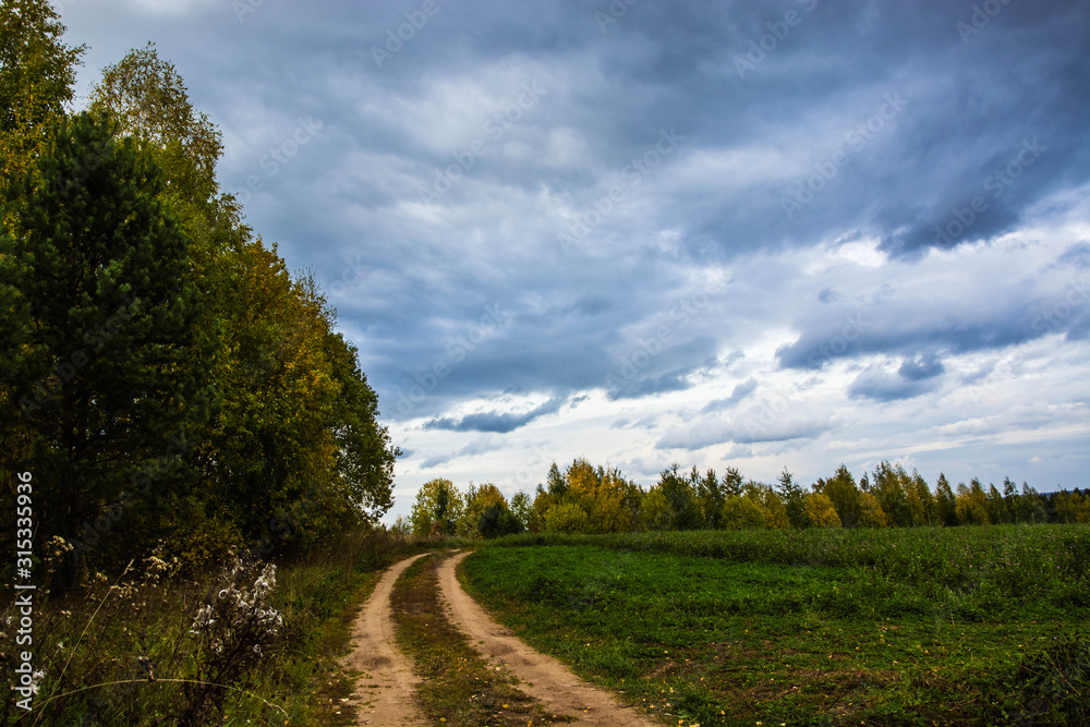Fototapeta premium Autumn landscape. Russian nature. Dirt road in the field to the forest. Cloudy windy weather.