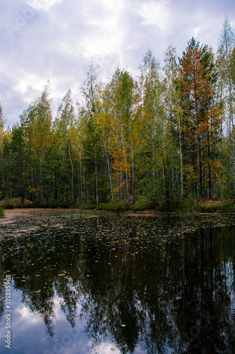 Beautiful autumn landscape. Scenic swamp in the forest. Reflection of trees. 