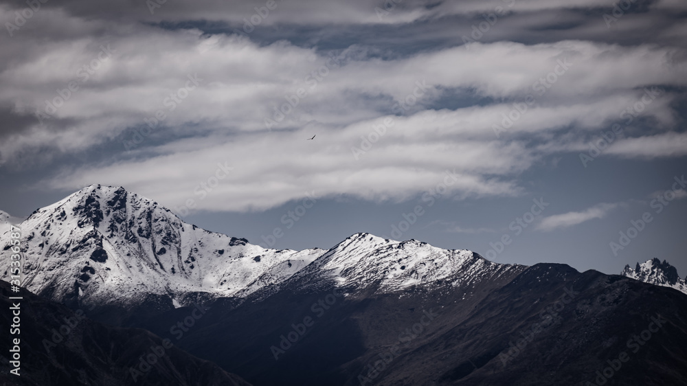 Fototapeta premium Bussard im Gebirge