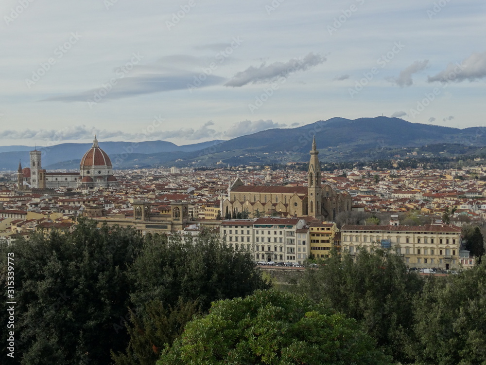 Firenze dall'alto.