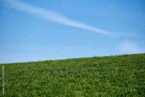 Abstract minimalistic landscape with green grass on a meadow in spring against the bright blue sky with a little cloud. Seen in Tauchersreuth, Germany, in March 2019
