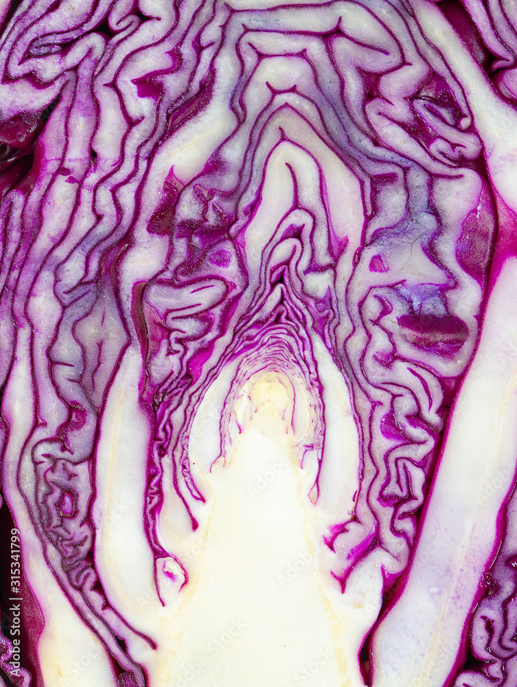 Obraz premium red cabbage isolated on white backrgound
