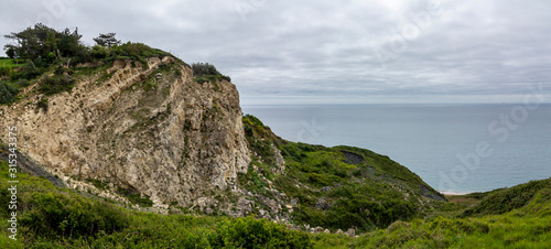 Sea Cliff 