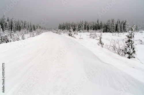 Winter road in Siberian forests