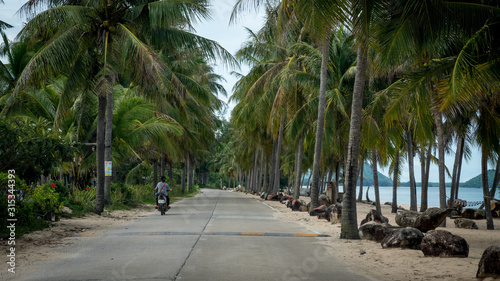 Motorcyclist riding motorcycle down palm tree lined beach