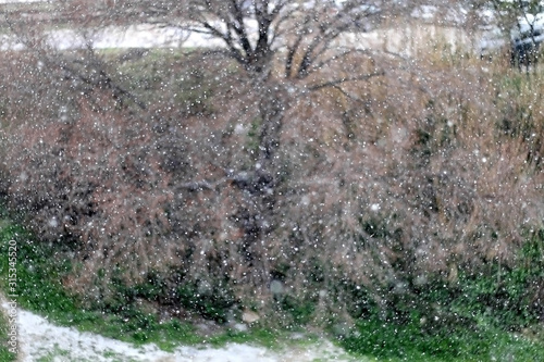 Snow falling in the country. Selective focus, copy space.
