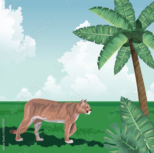 feline walking palm leaves tropical fauna and flora landscape