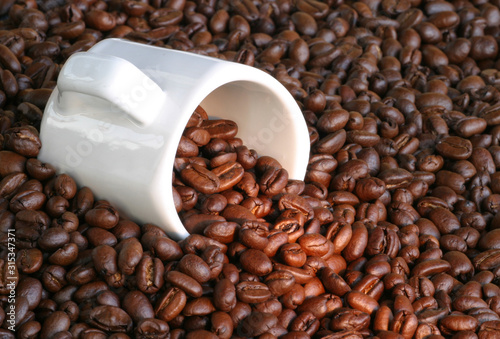 fesh Coffee