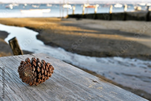 Bassin d'Arcachon