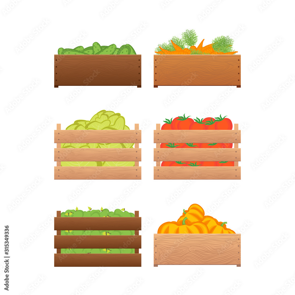 Cartoon Color Crates Fresh Fruits Sign Icon Set. Vector Cartoon Color Crates Fresh Fruits Sign Icon Set. Vector