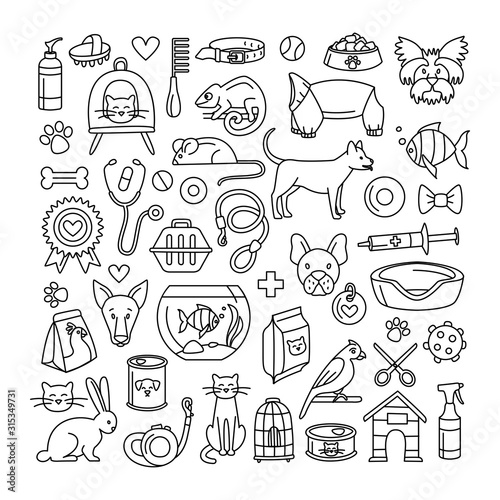 Pet store dogs, cats, birds, other domestic animals square pattern