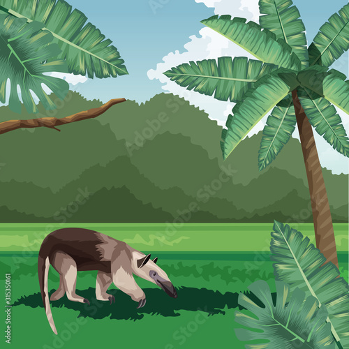 anteater palms leaves bush tropical fauna and flora landscape