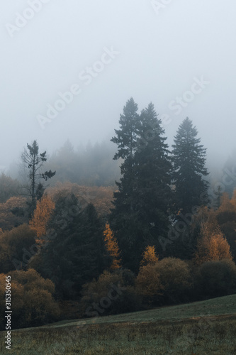 Autumnal fog