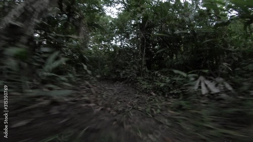 First person view of a mysterious creature running through the jungle