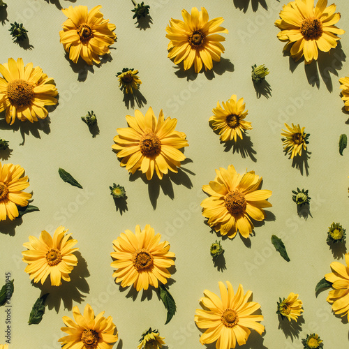 Floral composition with yellow daisy flower buds pattern texture background. Flatlay, top view.