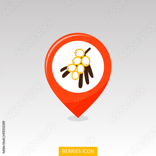 Branch of sea-buckthorn berries pin map icon
