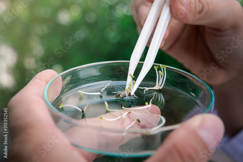 Plant selection and exploring new methods of plant breeding