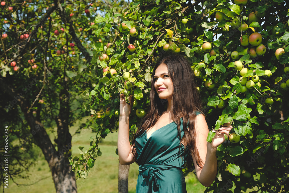 Pretty brunette girl standing near apple tree. In the garden of the fruit trees. Lovely elegant girl in a silk dress. Style of the goddess. Pretty brunette girl standing near apple tree. In the garden of the fruit trees. Lovely elegant girl in a silk dress. Style of the goddess.