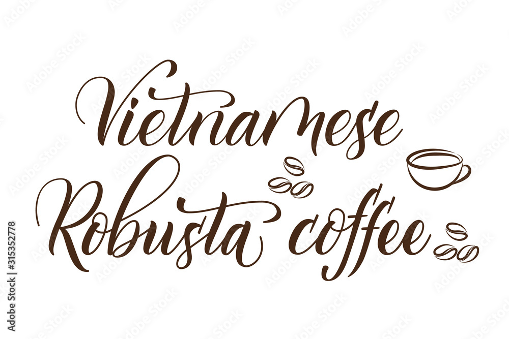 Modern handwritten brush calligraphy Vietnamese Robusta Coffee. Vector illustration.