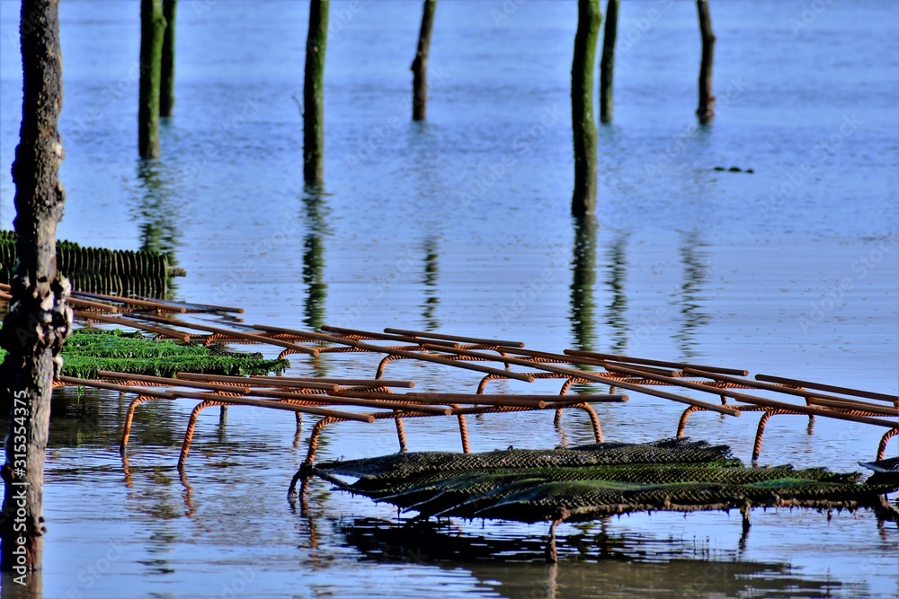 Fototapeta premium Bassin d'Arcachon
