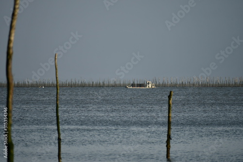 Bassin d'Arcachon