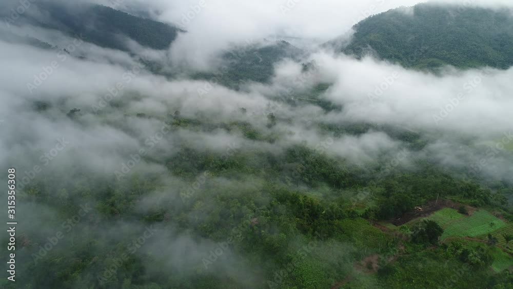 Flying above a jungle with clouds and mist Flying above a jungle with clouds and mist