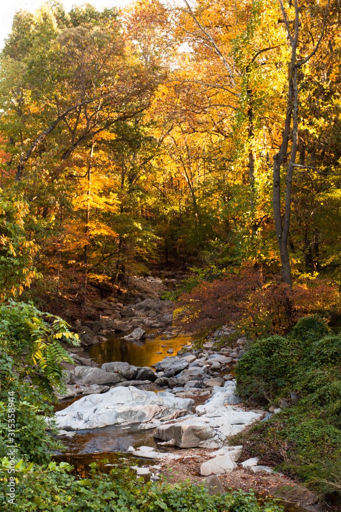 Autumn afternoon sun on colorful tree leaves along stream in a park Autumn afternoon sun on colorful tree leaves along stream in a park