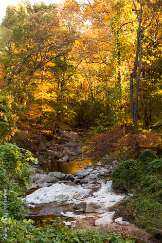 Autumn afternoon sun on colorful tree leaves along stream in a park